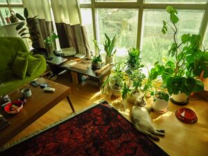 The Exotic Pet Handbook Health, Habitat, and Happiness